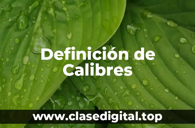Definición de Calibres