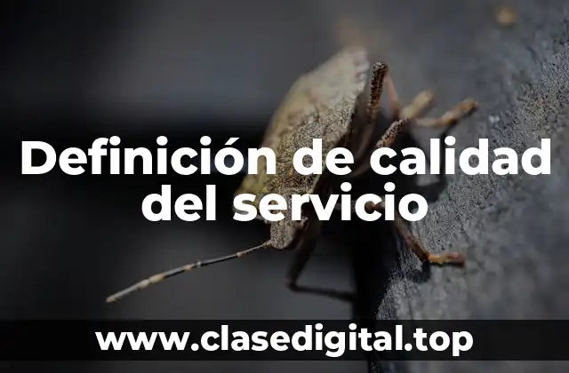 Definición de calidad del servicio