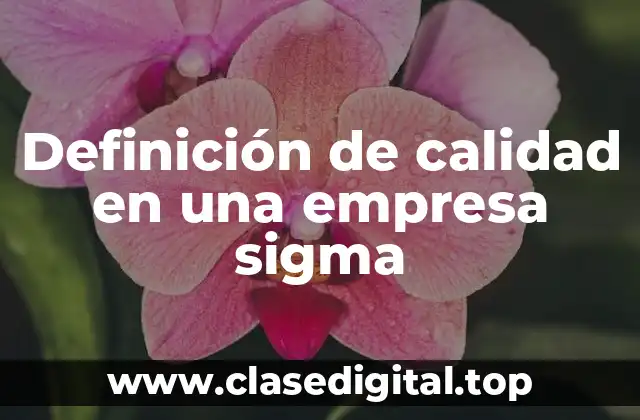 Ejemplos de calidad en una empresa sigma