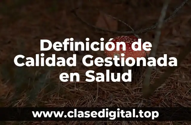 Definición técnica de Calidad Gestionada en Salud