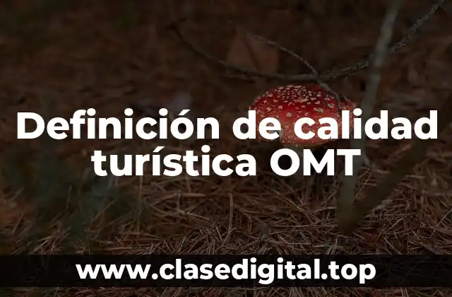 Definición de calidad turística OMT