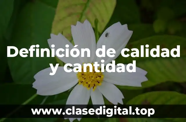 Ejemplos de calidad y cantidad
