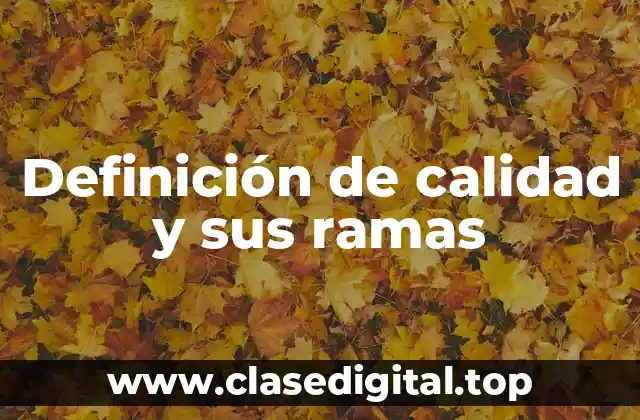 Definición de calidad y sus ramas
