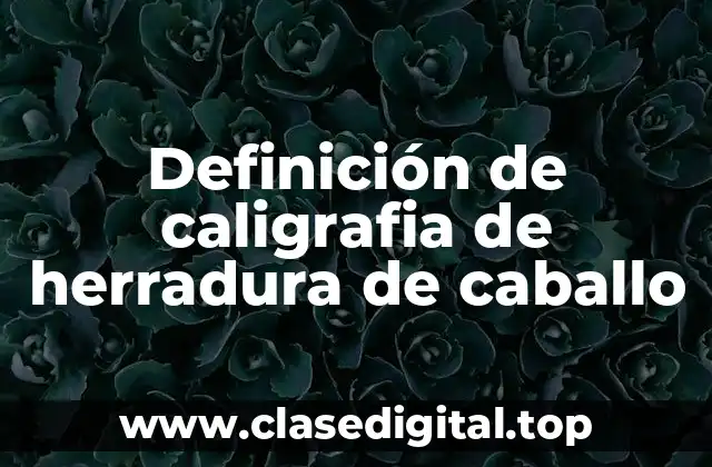 Definición de caligrafia de herradura de caballo