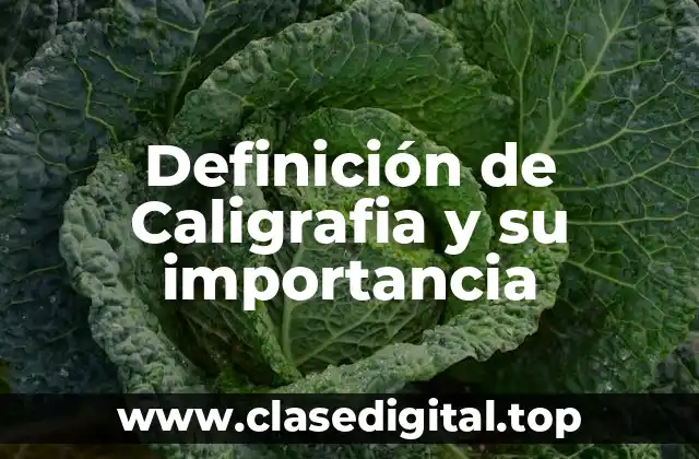 Definición de Caligrafia y su importancia