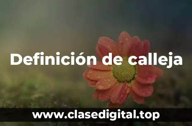 Definición de calleja