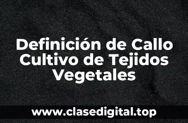 Definición de Callo Cultivo de Tejidos Vegetales