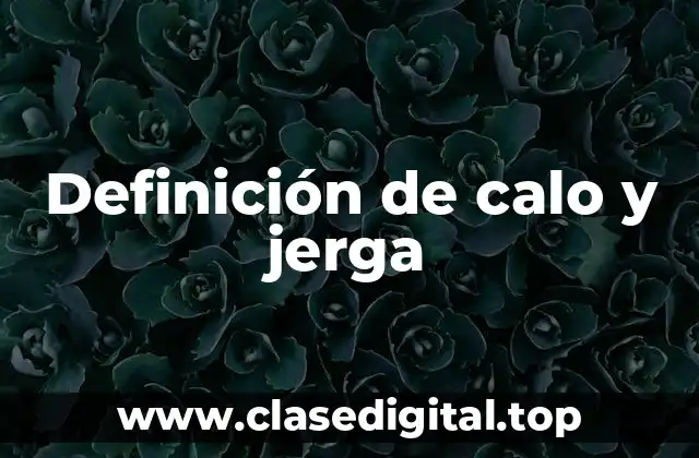 Ejemplos de calo y jerga