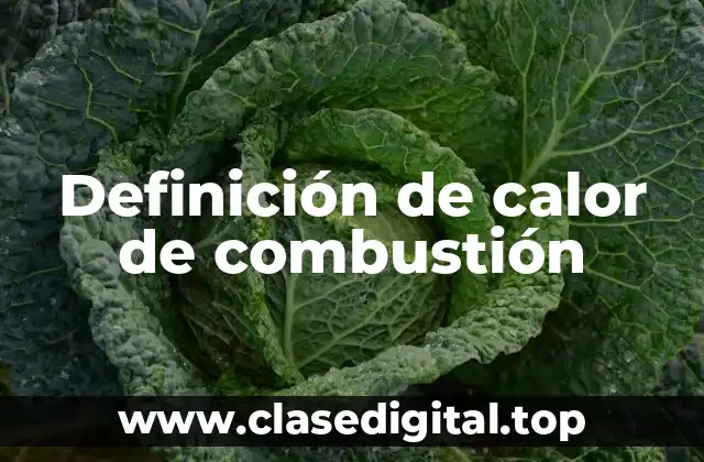 Definición técnica de calor de combustión