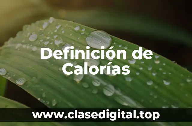 Definición técnica de calorías