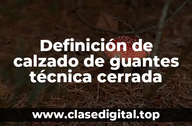 Definición de calzado de guantes técnica cerrada