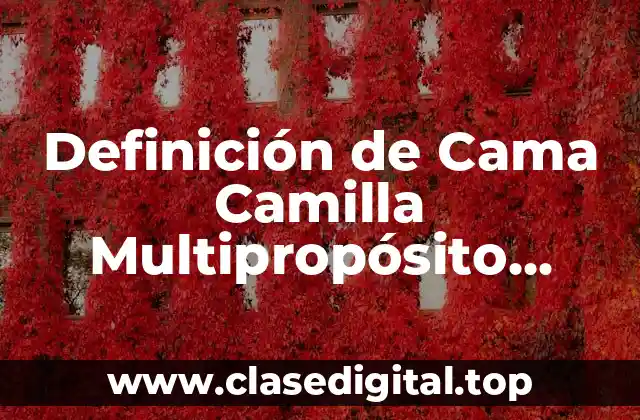 Definición de Cama Camilla Multipropósito Ipoker