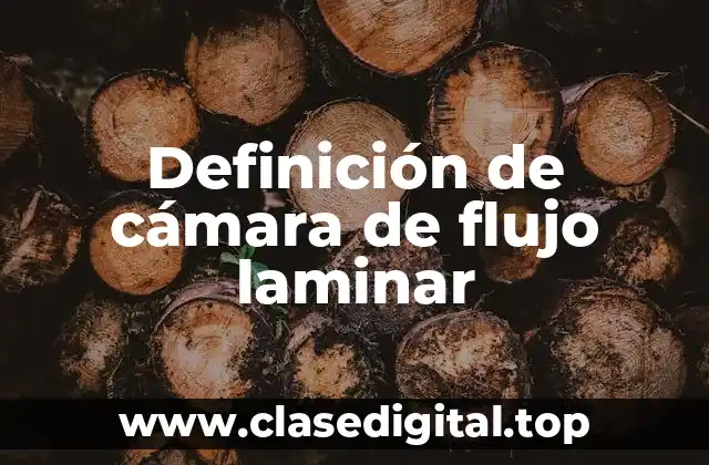 Definición de cámara de flujo laminar
