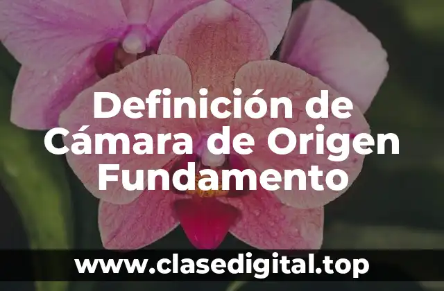 Definición de Cámara de Origen Fundamento