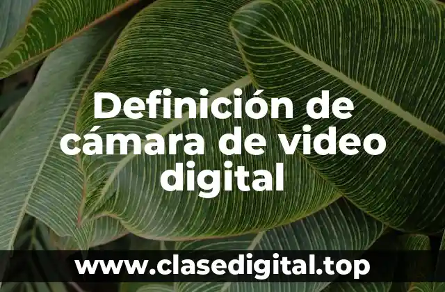 Definición de cámara de video digital