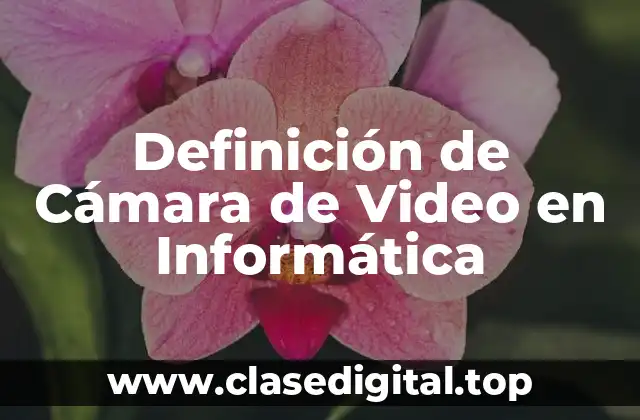 Definición de Cámara de Video en Informática