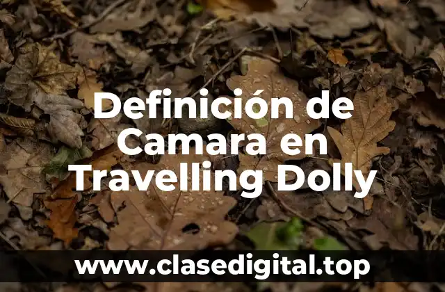Definición de Camara en Travelling Dolly