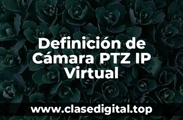 Definición de Cámara PTZ IP Virtual