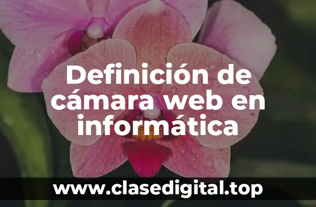 Definición de cámara web en informática