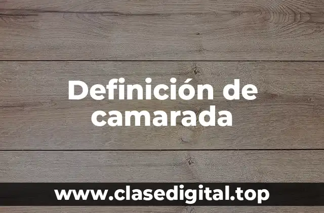 Definición de camarada