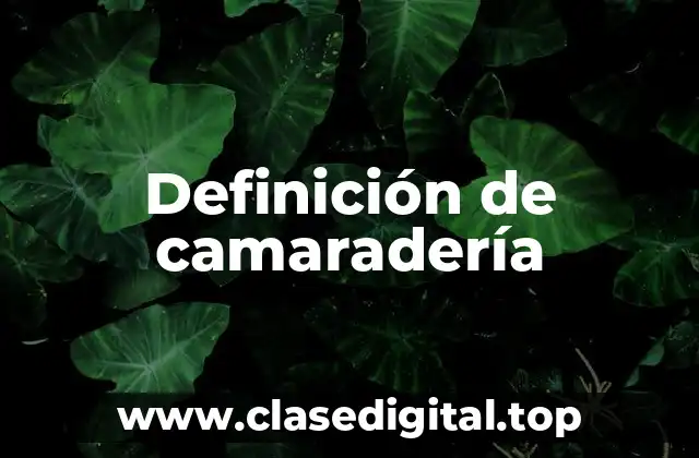 Definición de camaradería