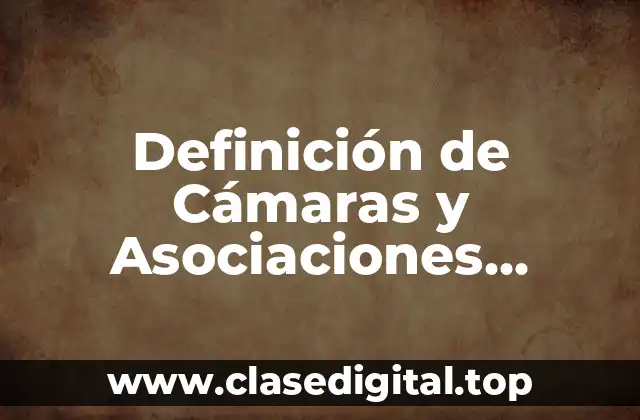 Definición de Cámaras y Asociaciones Empresariales