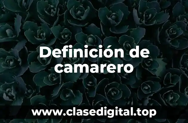 Definición de camarero