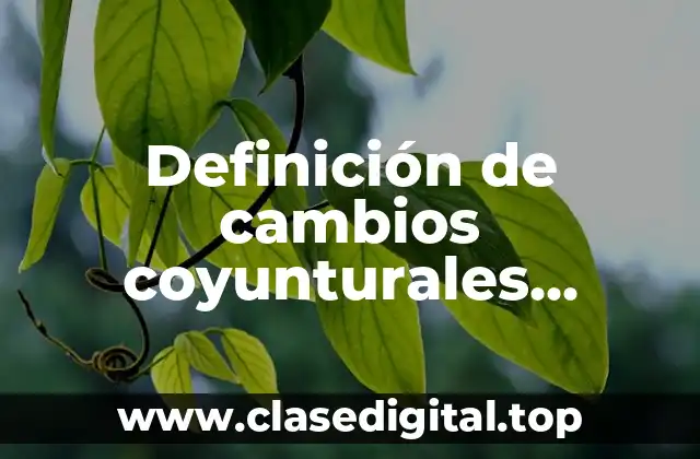 Definición de cambios coyunturales sociales y estructurales en México