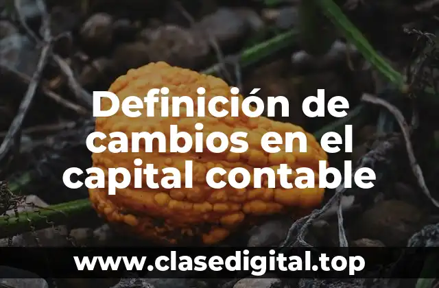 Definición de cambios en el capital contable
