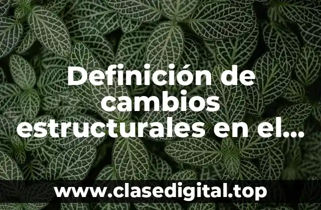 Definición de cambios estructurales en el desarrollo organizacional