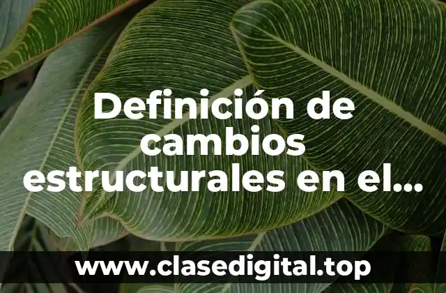 Ejemplos de cambios estructurales en el proceso de la información