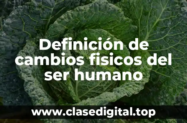 Definición de cambios fisicos del ser humano