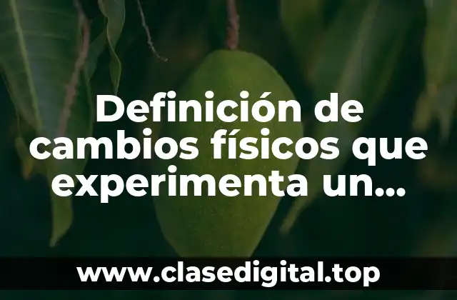 Definición de cambios físicos que experimenta un adolescente
