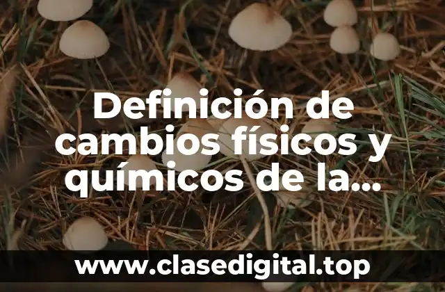 Definición de cambios físicos y químicos de la materia