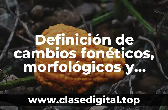 Ejemplos de cambios fonéticos, morfológicos y semánticos de las palabras