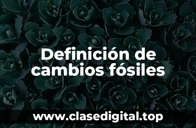 Definición de cambios fósiles