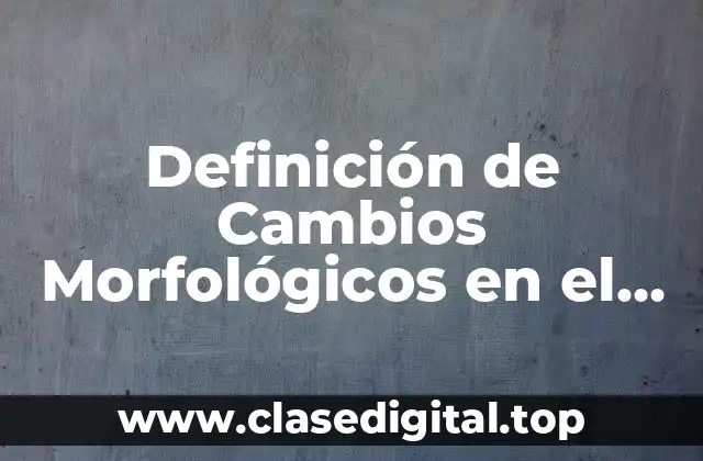 Ejemplos de Cambios Morfológicos en el Español