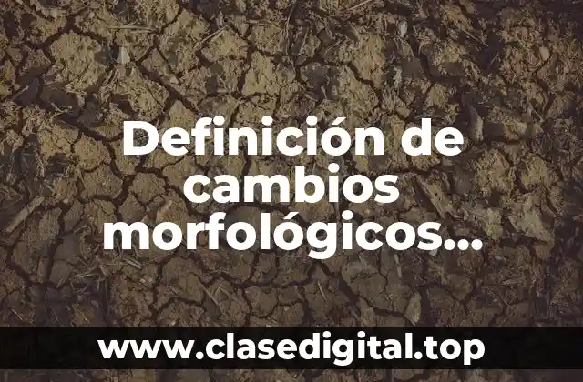 Definición de cambios morfológicos sincopados