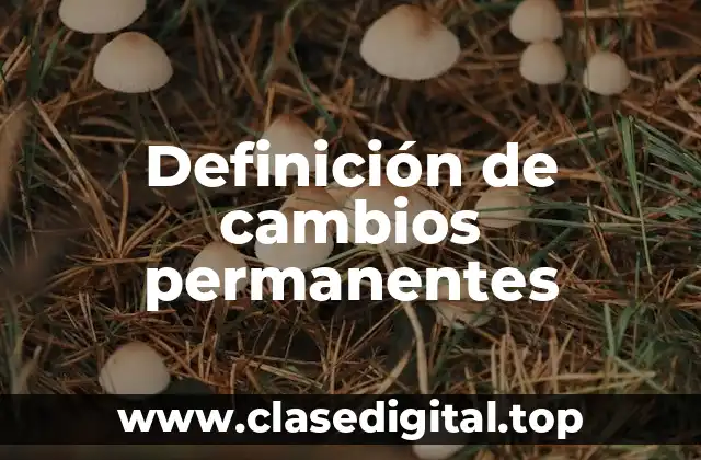 Definición de cambios permanentes