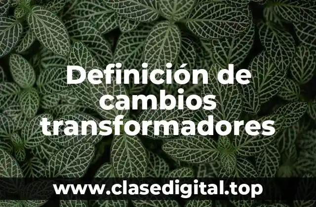 Definición de cambios transformadores