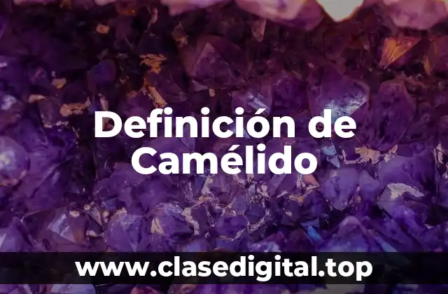 Definición de Camélido