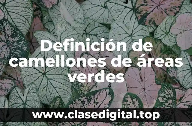 Definición de camellones de áreas verdes