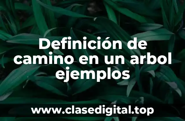 Definición de camino en un arbol ejemplos