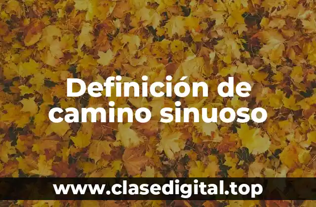 Definición de camino sinuoso