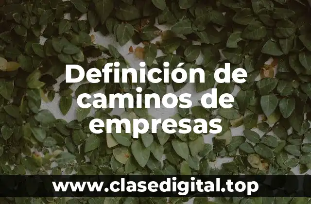 Definición de caminos de empresas