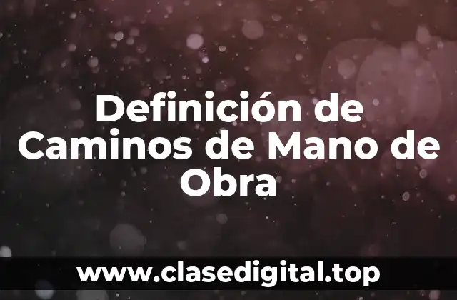 Definición de Caminos de Mano de Obra