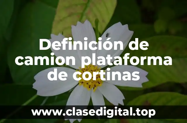 Definición de camion plataforma de cortinas