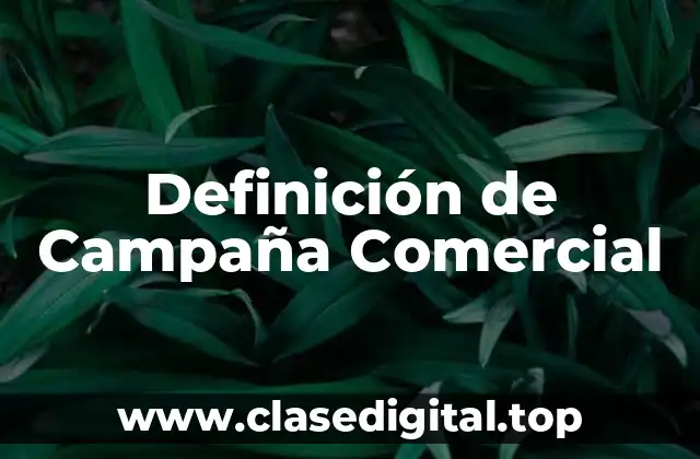 Definición de Campaña Comercial