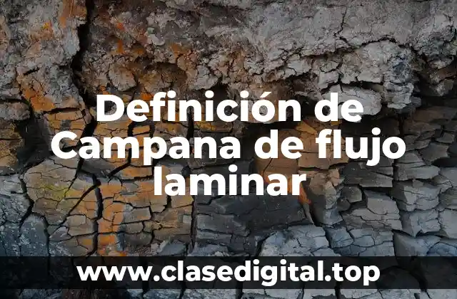 Definición de Campana de flujo laminar