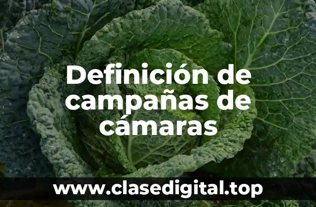 Definición de campañas de cámaras